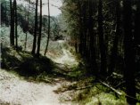 Reipertswiller, main trail