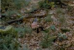 Reipertswiller, relic near flag