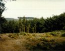 Reipertswiller, saddle of hills 420 and 400