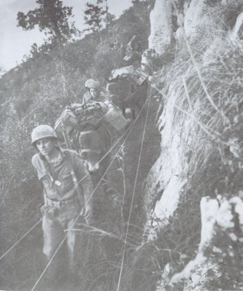 To supply the basic needs of an infantry regiment in the line two hundred and fifty animals per day were required.